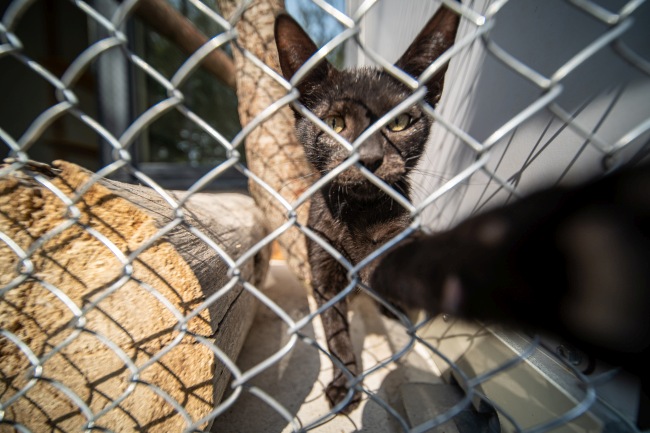 Novoferm Schronisko 018